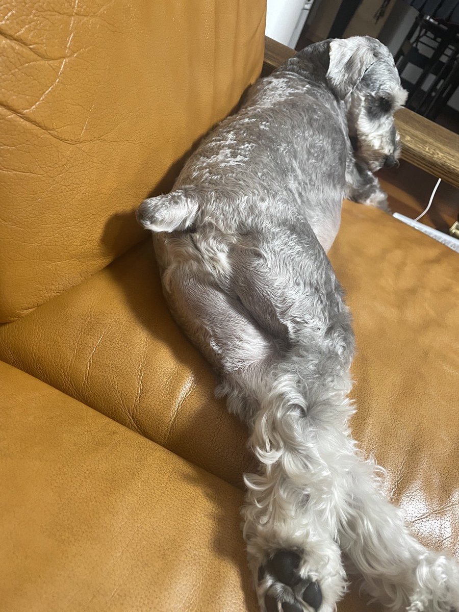 人の尻みたい🍑