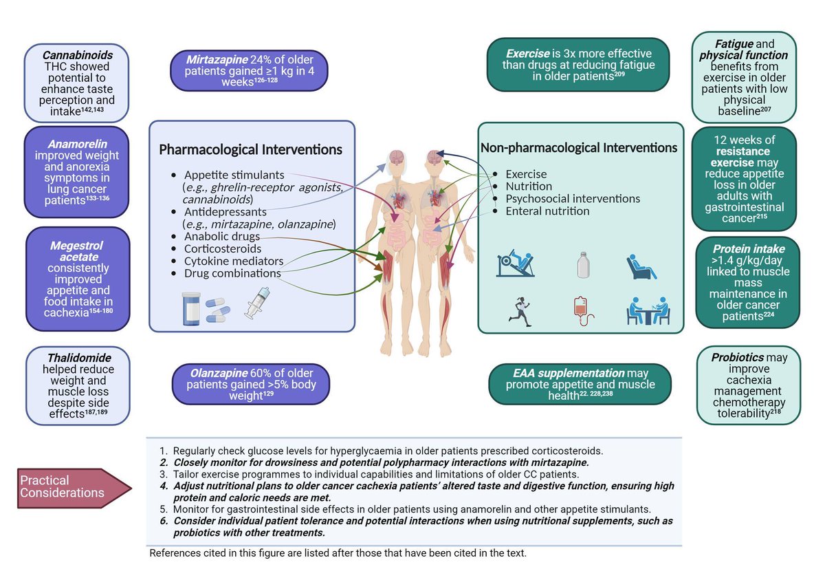 Excited to share our latest paper on:

"Addressing cancer anorexia-cachexia in older patients: potential therapeutic strategies and molecular pathways"

clinicalnutritionjournal.com/article/S0261-…