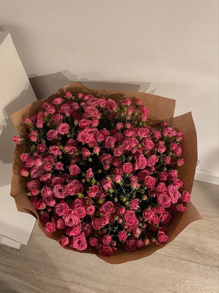 Butterflless's tweet photo. Pink roses 💗 https://t.co/y7TSwcG0tt