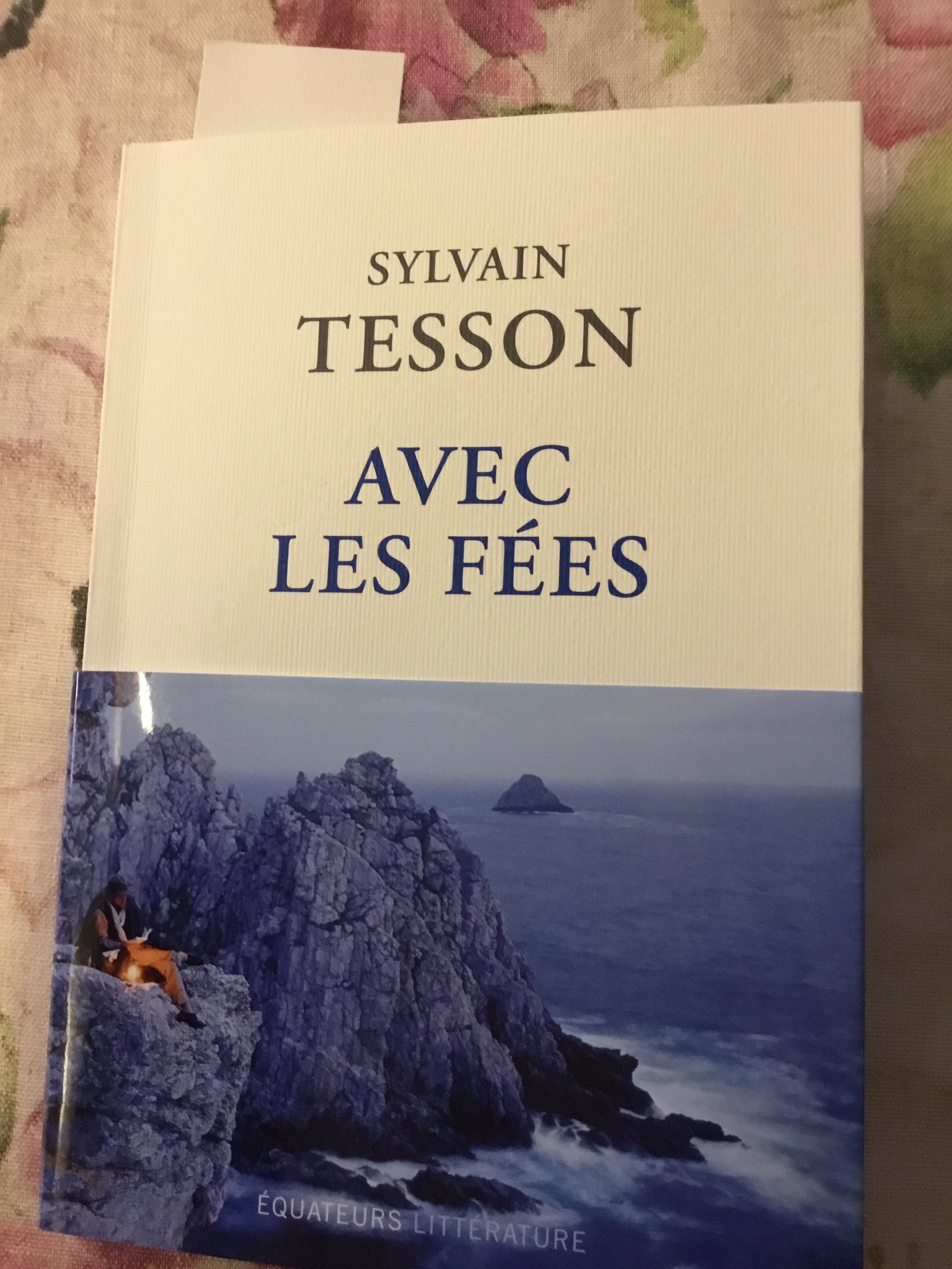  Avec les fées - Tesson, Sylvain - Livres