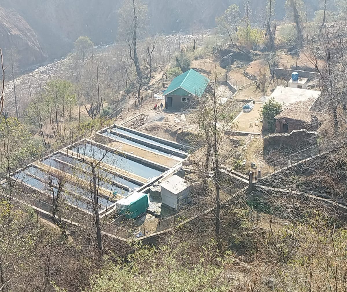 dcramban's tweet photo. Construction milestone at TRU Chunna Gool in Ramban district! The  hatchery under HADP - fisheries is nearing completion, showcasing the tangible benefits of HADP projects.
@OfficeOfLGJandK @Rameshkumarias @diprjk @BaseerUlHaqIAS @mohita_ips https://t.co/e373Wcfx3W