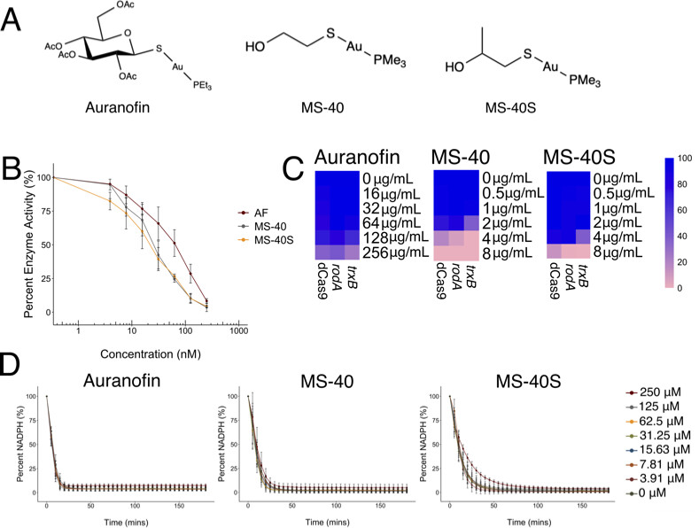 Insights into the mechanism of action of auranofin analogs, which kill difficult-to-treat Burkholderia cenocepacia. Another step in chemogenomic approaches to characterize antibiotic action by the @cardona_lab. journals.asm.org/doi/10.1128/sp…