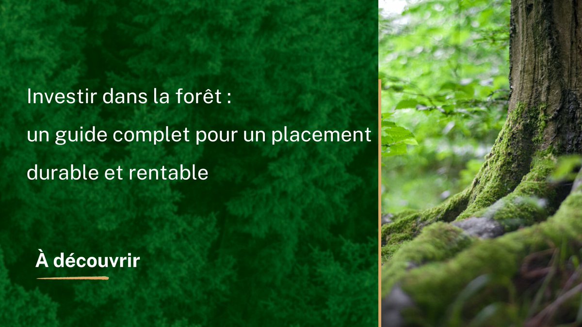 MeilleurGF's tweet photo. Intéressé par un investissement qui respecte l'environnement ? 🌲 Découvrez notre guide complet sur l'investissement forestier, une opportunité à la fois durable et rentable. #InvestissementDurable #Forêt 

https://t.co/CcFnDvzDNm https://t.co/wVIgewRGOt