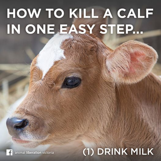 Marcus Serrao tweet media