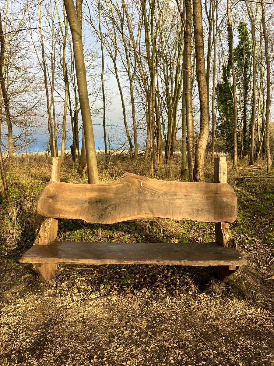 GraceLSDavidson's tweet photo. I want this bench ๐ #favouritebench @WimpoleEstateNT ๐ธ Taken from this mornings walk.๐ถ #January #winterwalks ๐ https://t.co/JtvYou9jim