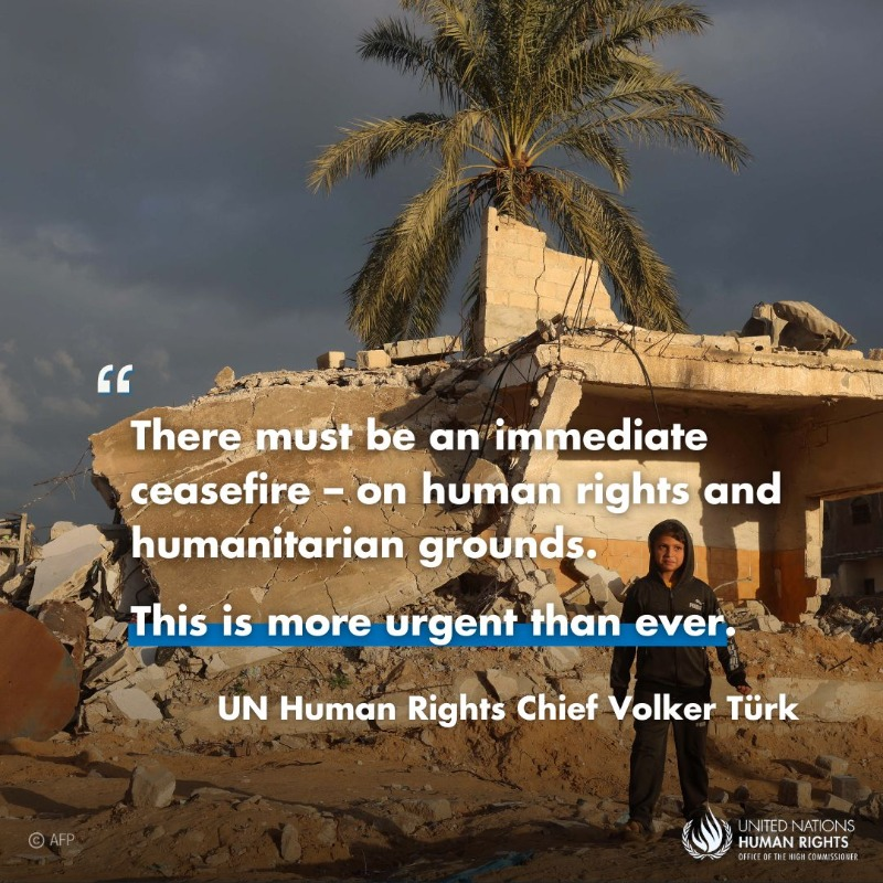 UN's tweet photo. Gaza: An immediate ceasefire to end the appalling suffering and loss of life, and to allow the prompt and effective delivery of humanitarian aid is more urgent than ever, says @UNHumanRights chief @volker_turk. https://t.co/If1ejG7h8k https://t.co/VIcy8r2ZYt