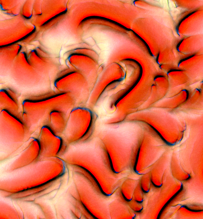 serendipityarty's tweet image. Is there life emerging from the blockchain ??
Cytographia by @golan / Genomes by @ciphrd @zzznah