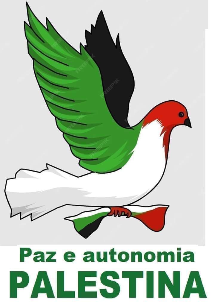 Sebastião (@luiz_mgcosta) on Twitter photo 