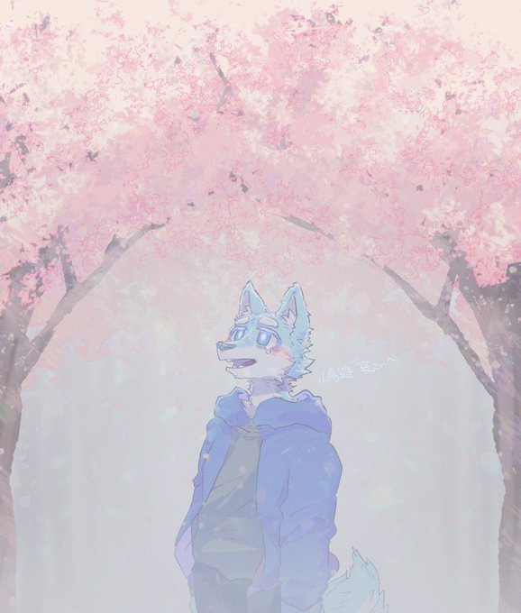 「blush wolf boy」 illustration images(Latest)