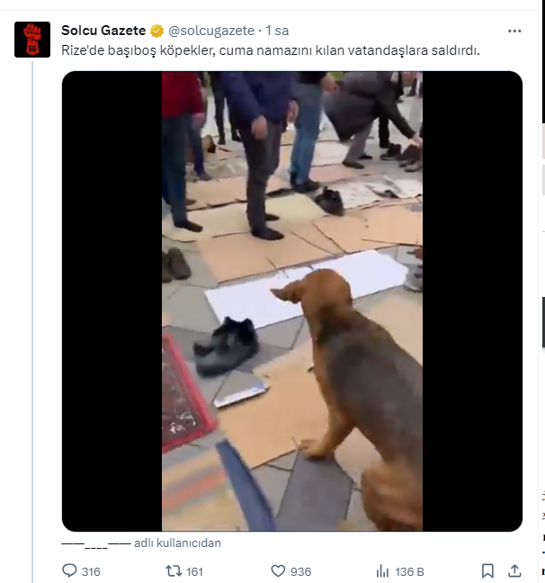 canturaldeu's tweet photo. Yalan haber kervanına çakma "solcu" gazete de katılmış. Bu videodan hareketle birbirleriyle tepişen köpekleri sanki namaz kılan vatandaşlara saldırıyormuş gibi gösteren tetikçi hesapların elinde işkence gören tüm hayvanların kanı var.
Bu sahte haber sayfaları canileri sokak hayvanlarına yönlendiriyor. Sokak hayvanlarını psikopatların ilk hedefi haline getiriyor. 
#SokakHayvanlarıSahipsizDeğil