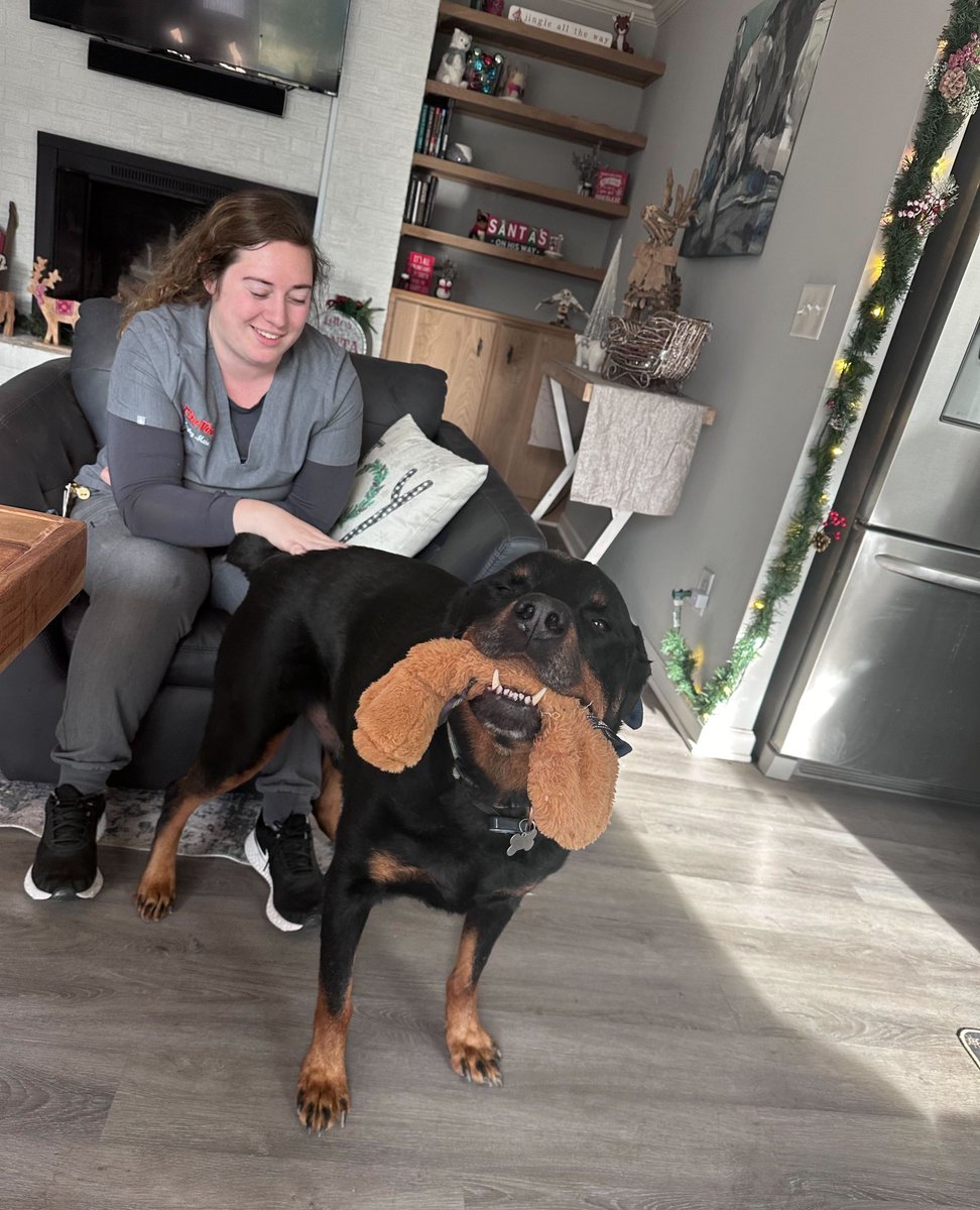 Bear loved his visit the other day with the Charlotte team. He was all smiles showing off his toy 🐻