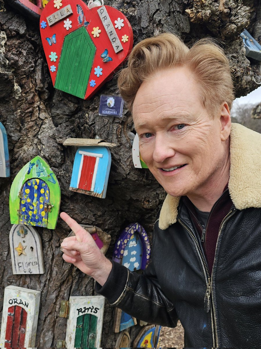 ConanOBrien's tweet photo. These are little "Fairy homes" on a tree in Dublin. Fairies live here until they're 32, and then they're forced out by their parents. https://t.co/j6dzpzKzgx