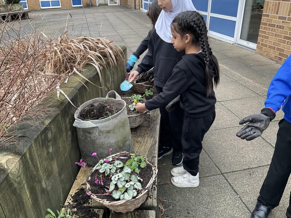 Greenhill_HT's tweet photo. The Eco Team planted hanging baskets in the courtyard with the money raised from the winter fayre. More flowers were used in the planters at the front of school. Keep an eye out for the spring flowers. Broccoli and kale are growing well too.
#TheHarmonyPledge #BeAnEcoWarrior https://t.co/y5HtQAFc0k