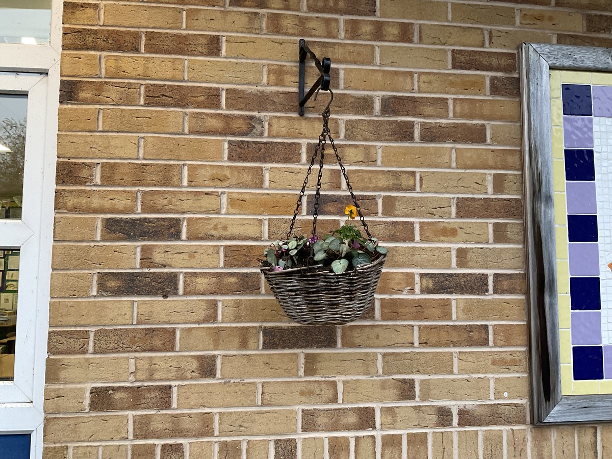 Greenhill_HT's tweet photo. The Eco Team planted hanging baskets in the courtyard with the money raised from the winter fayre. More flowers were used in the planters at the front of school. Keep an eye out for the spring flowers. Broccoli and kale are growing well too.
#TheHarmonyPledge #BeAnEcoWarrior https://t.co/y5HtQAFc0k