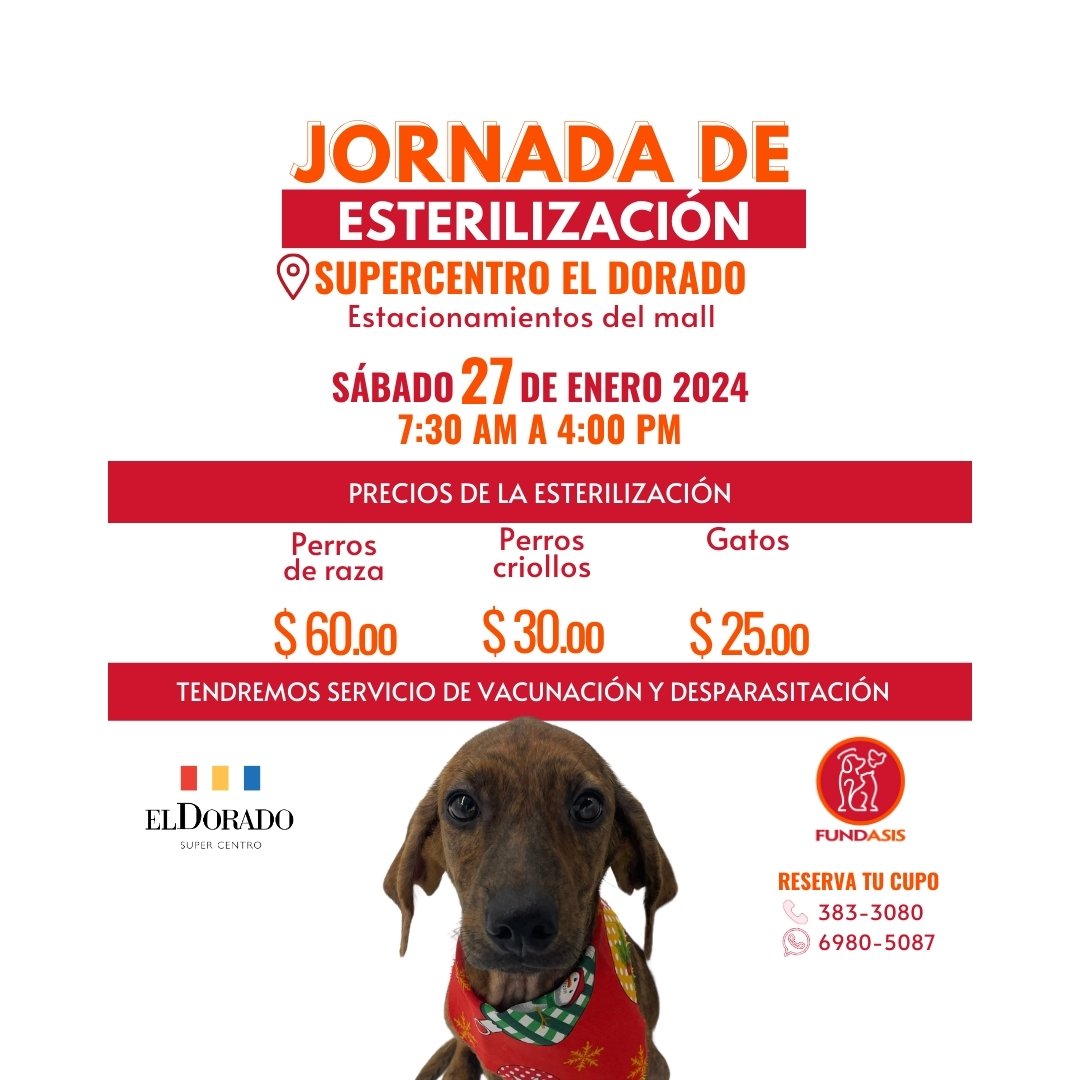 Fundación San Francisco de Asís ( FUNDASIS ) tweet media