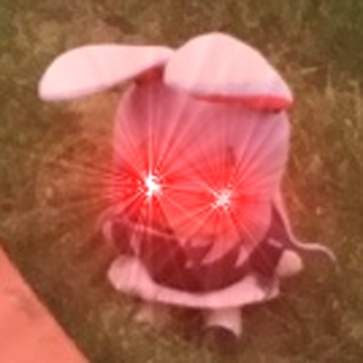 AutumnalRedWolf's tweet photo. With so many bots around, I'm getting so many mentions on my main.. eugh, I'm locking the account.

Feel free to follow my alt (@IColoredMagicI) instead of this account. https://t.co/0bhkfnVHSa