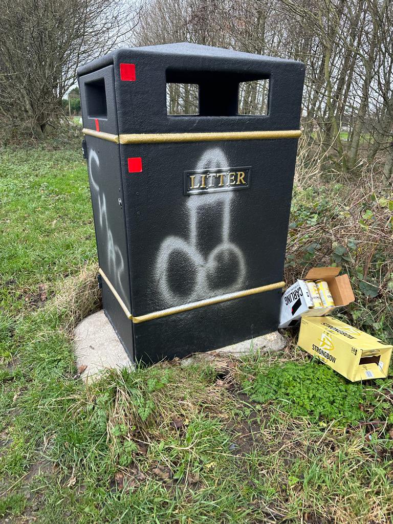 Dear <a href="/East_Riding/">East Riding Council</a> I was hoping this bin near my yard where I facilitate <a href="/Therapony4/">Therapony4</a> can be repainted please following an offensive piece of graffiti. I have young children coming to see me and it causes offence. Many thanks. I have reported it to The Wombles too!!