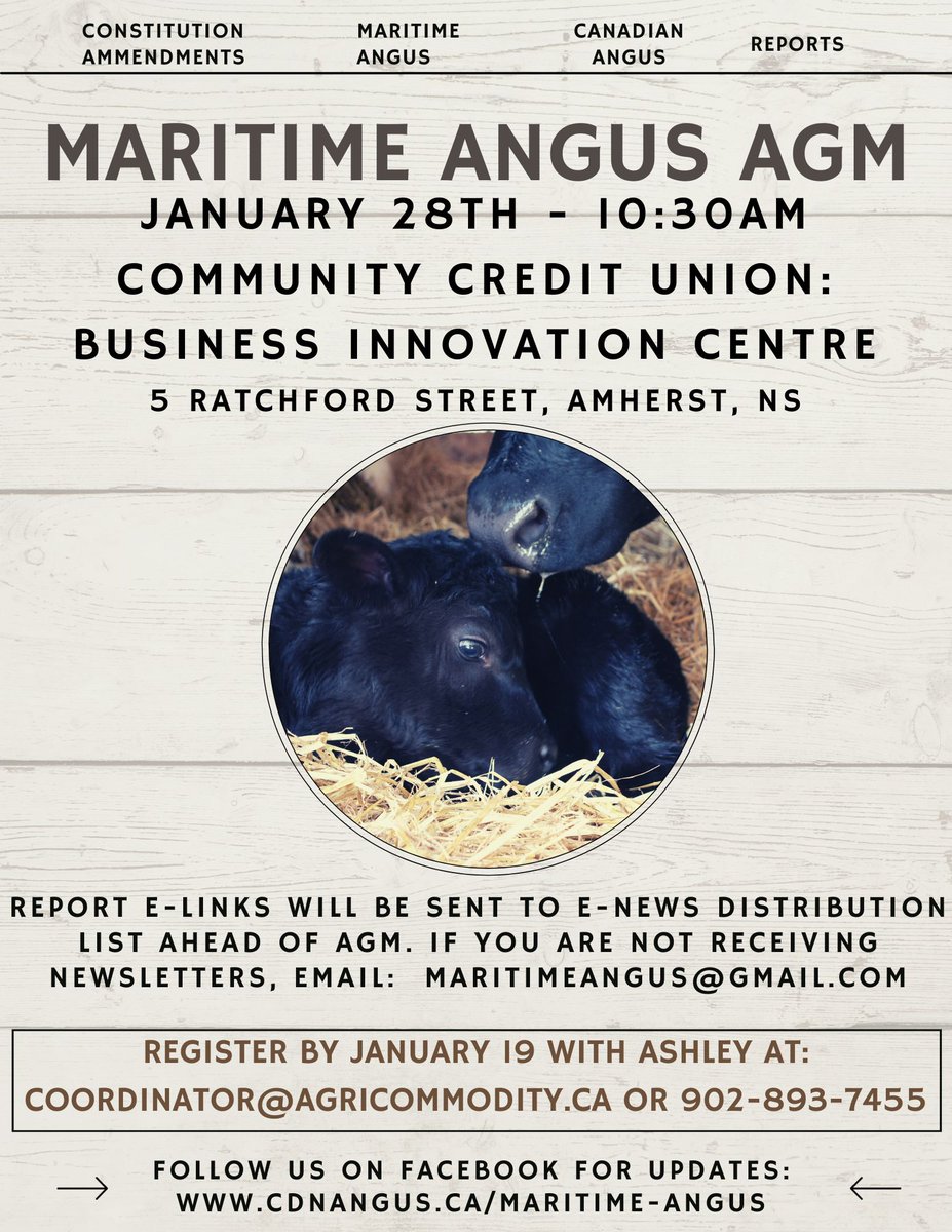 maritimeangus tweet media