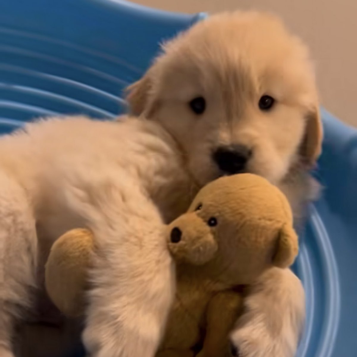 takemybear's tweet photo. คืนนี้เค้าไม่กอดเทอหรอก ไม่ต้อมมาง้อ https://t.co/KvdtkBsQ02