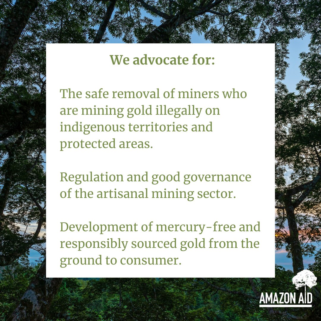 AmazonAidF's tweet image. Amazon Aid’s initiatives are based on the principles of human rights, science, transparency, support for democratic participation, and respect for the sovereign rights of Amazon region countries over territories and natural resources.

amazonaid.org