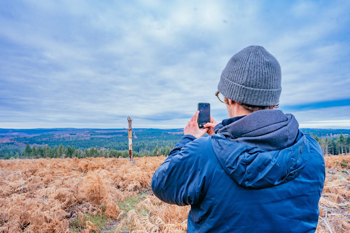 Help us gather information about tree health, check out #Observatree to learn how to identify the priority pests and diseases: observatree.org.uk 

Got a report to submit? Visit the official #TreeAlert page: treealert.forestresearch.gov.uk/reports/

#TreeHealth #WoodlandManager #UKLandOwner
