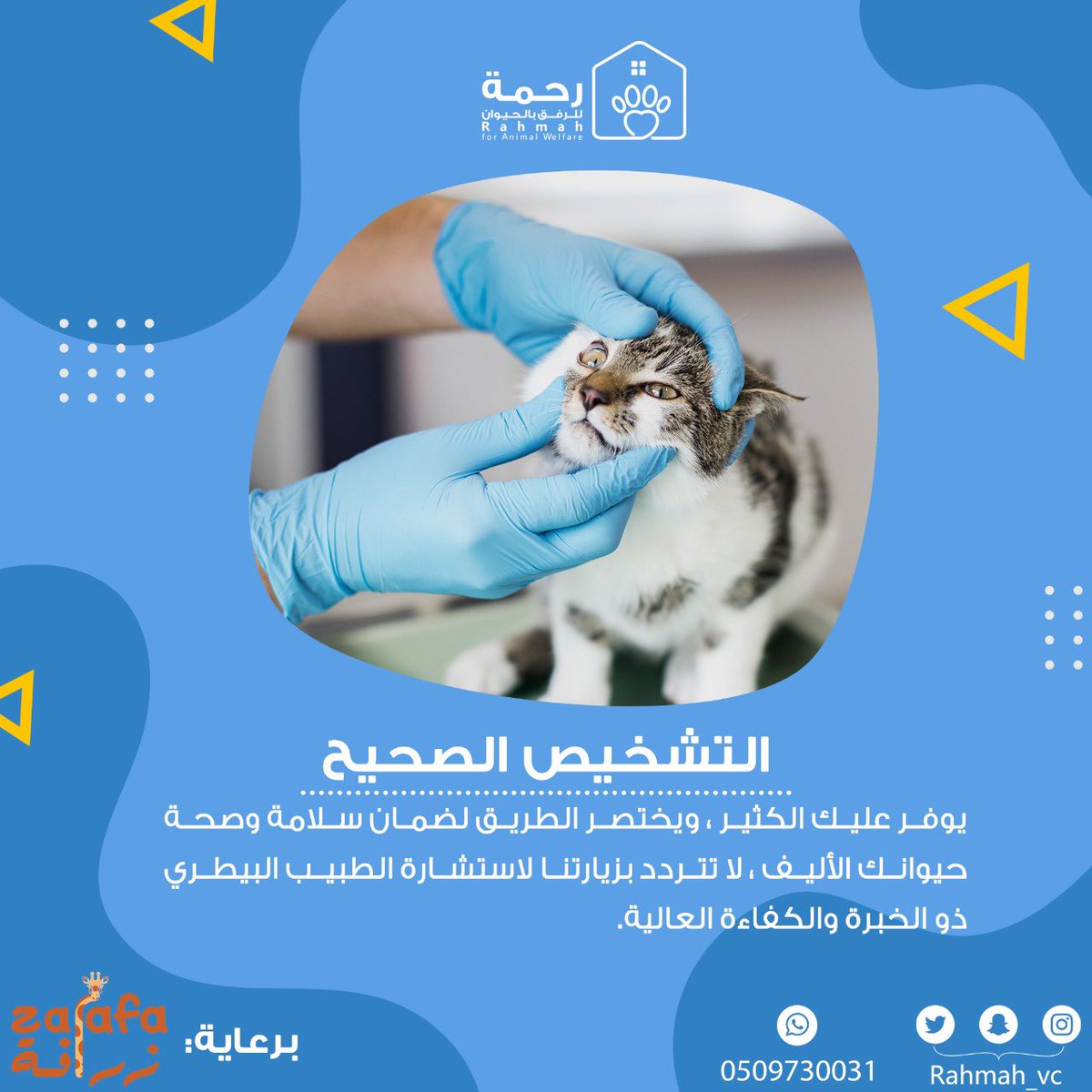 بدر الطريّف tweet media