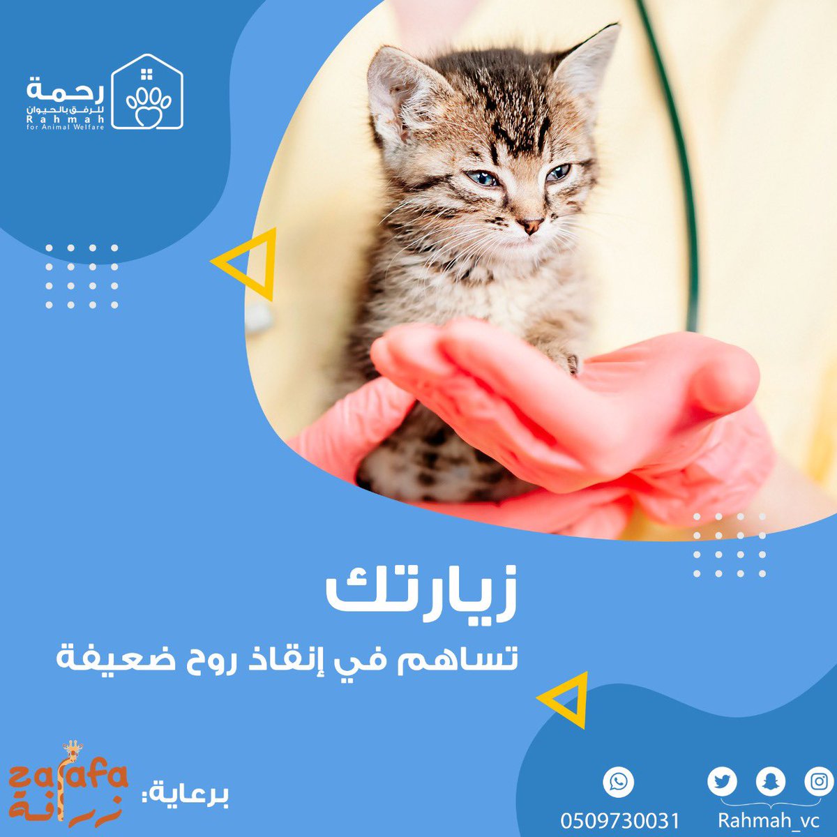 بدر الطريّف tweet media