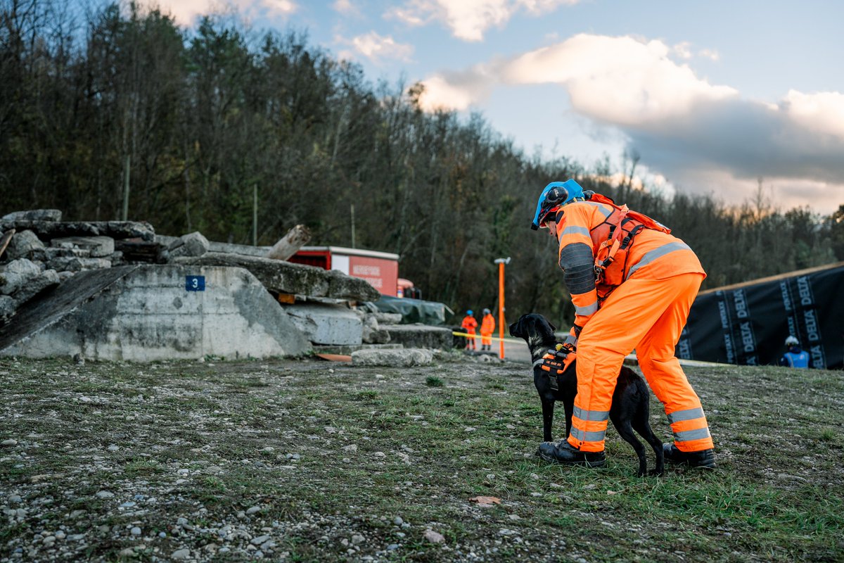UK_ISAR_TEAM's tweet photo. Capturing moments of excellence! 

Here are some images showcasing our incredible Canine Team during the recent successful INSARAG External Reclassification in Geneva. #INSARAGSuccess #CanineTeam #EmergencyResponse https://t.co/dPEiXrxjtm