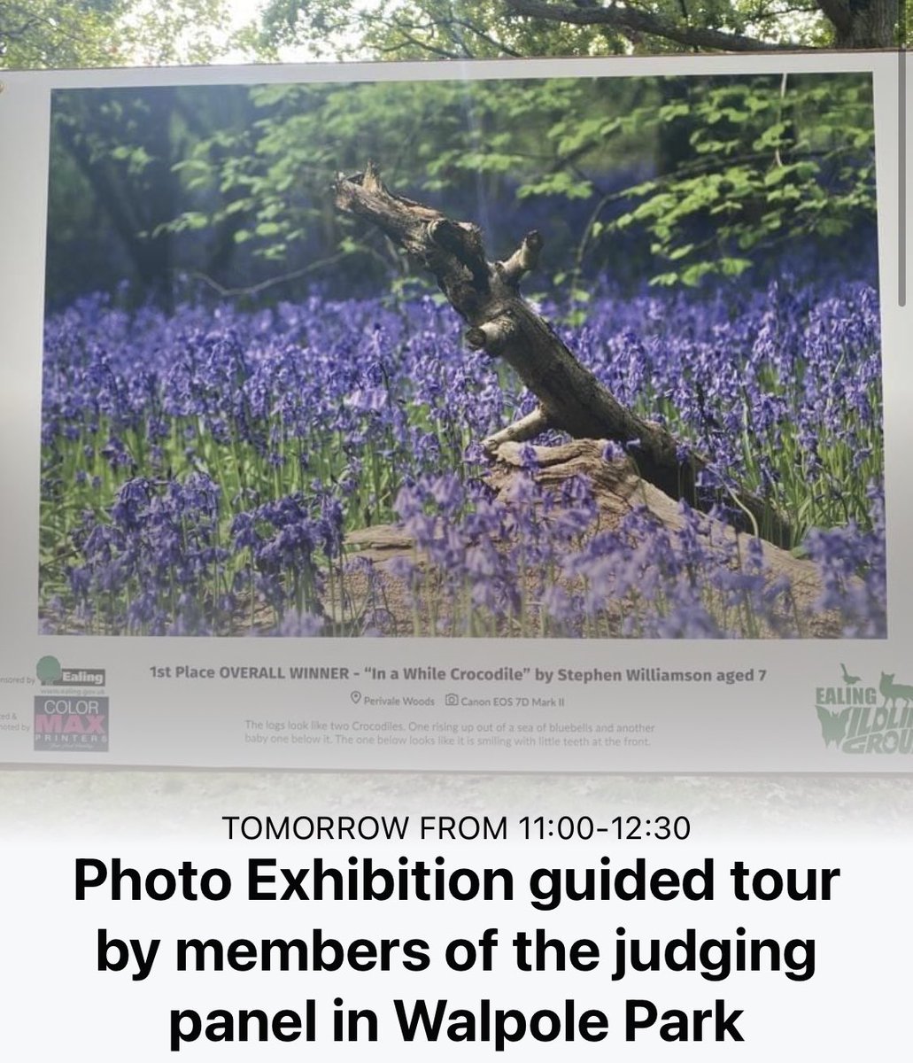 If you’re interested in photography & want to hear from @ThatVetSean who’s on our judging panel on what makes a winning photo in our competition, come join us tomorrow 11am in Walpole Park. Meet outside Rickyard Cafe. Last chance to see exhibition before it comes down.