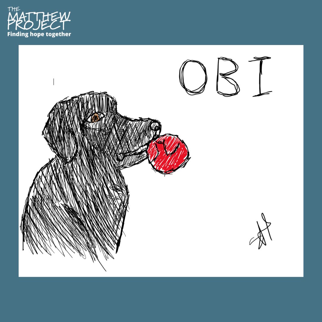 OnTrackNorfolk's tweet photo. This brilliant picture of Practitioner Rachel’s dog Obi was drawn by a young person during their 1:1 session yesterday! So impressive! 😍 https://t.co/FAySUGitgi