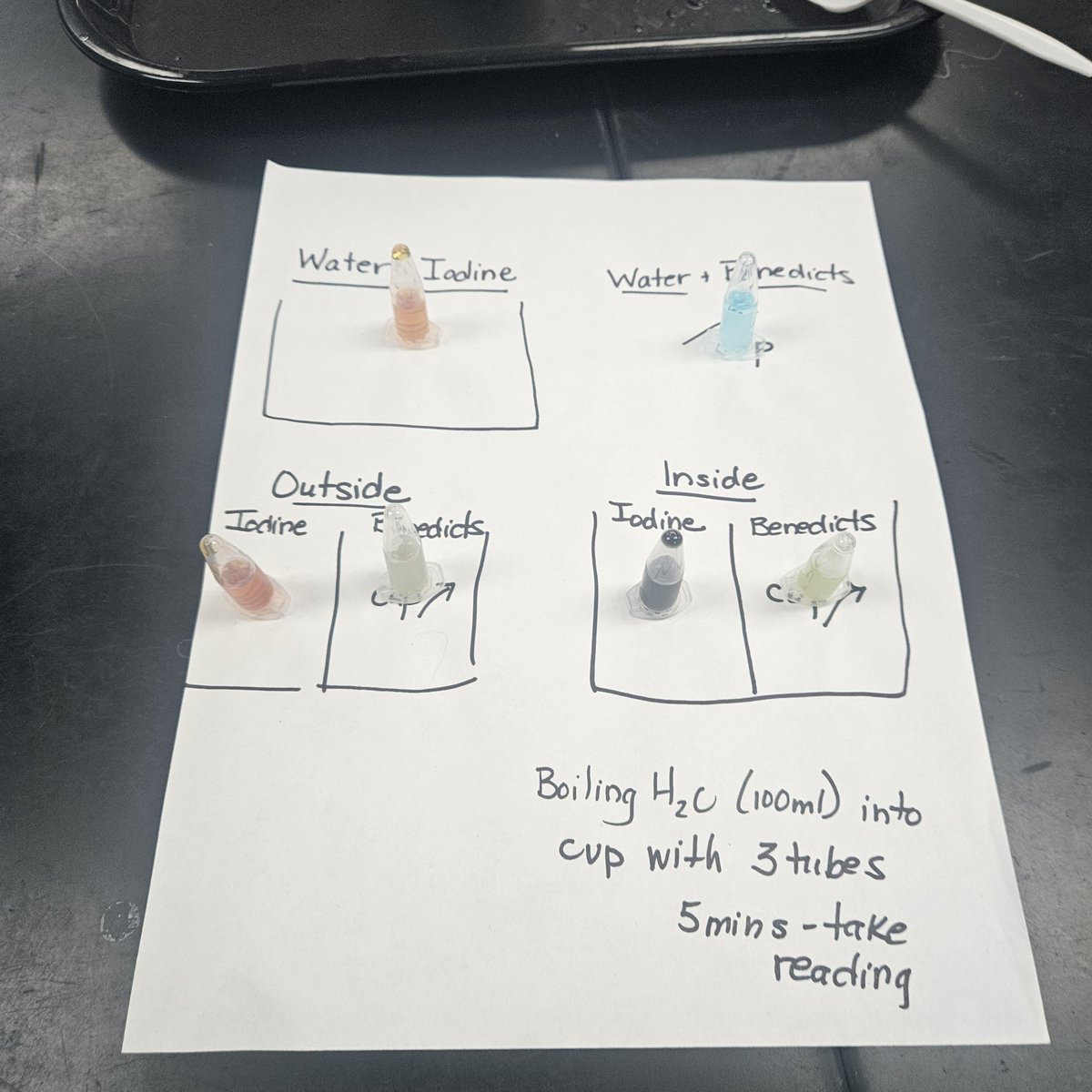 Susan Anderson tweet media