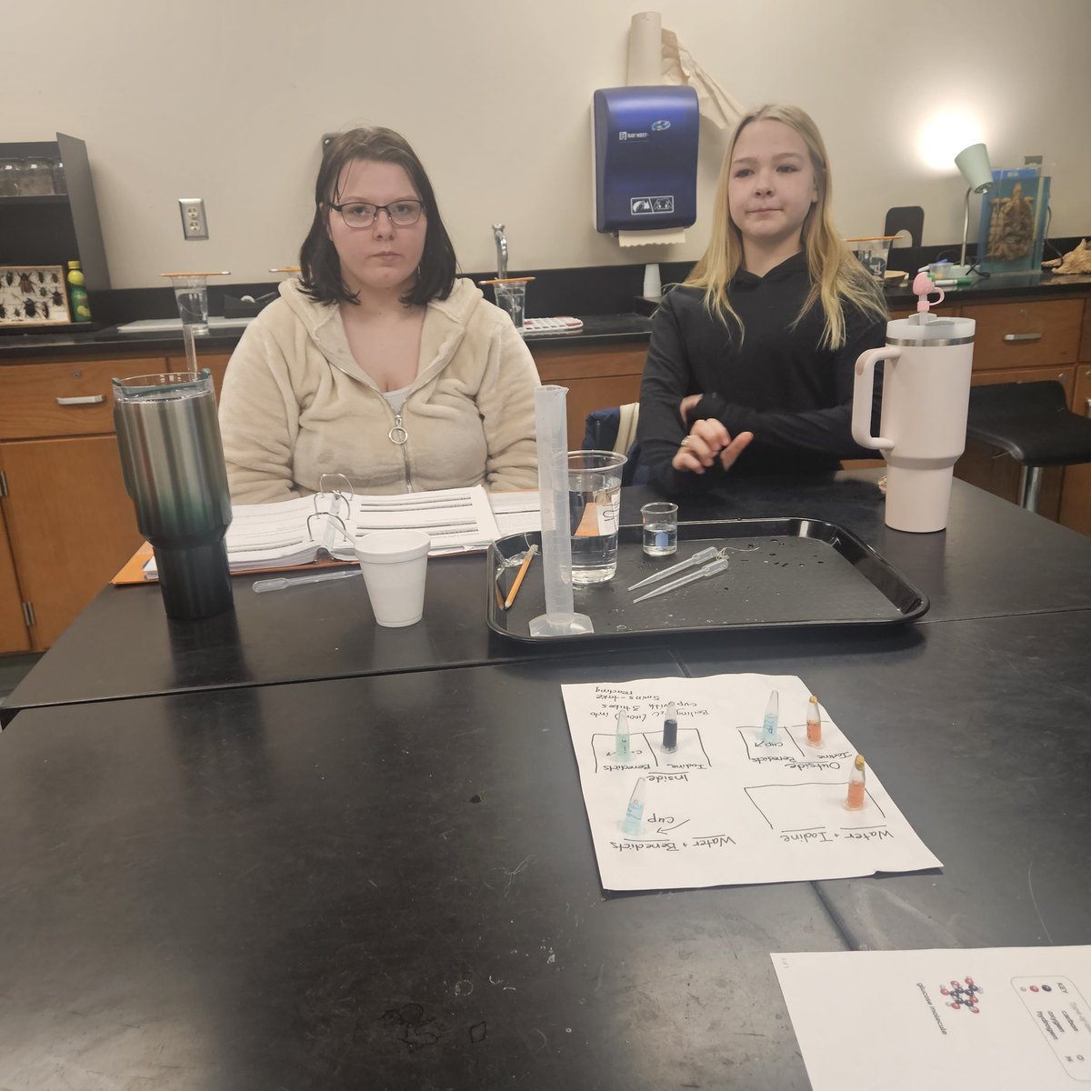 Susan Anderson tweet media