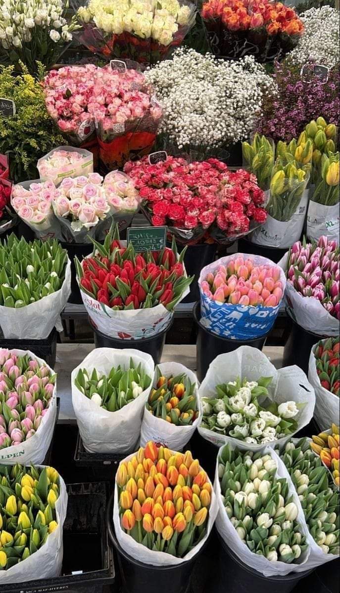 Tisoahen287's tweet photo. الإبتعاد عن الذين يعكرون مزاجك 
هو حق من حقوق نفسك 
 .
#مساء_الخيرᅠ https://t.co/mgI8uC88Ab