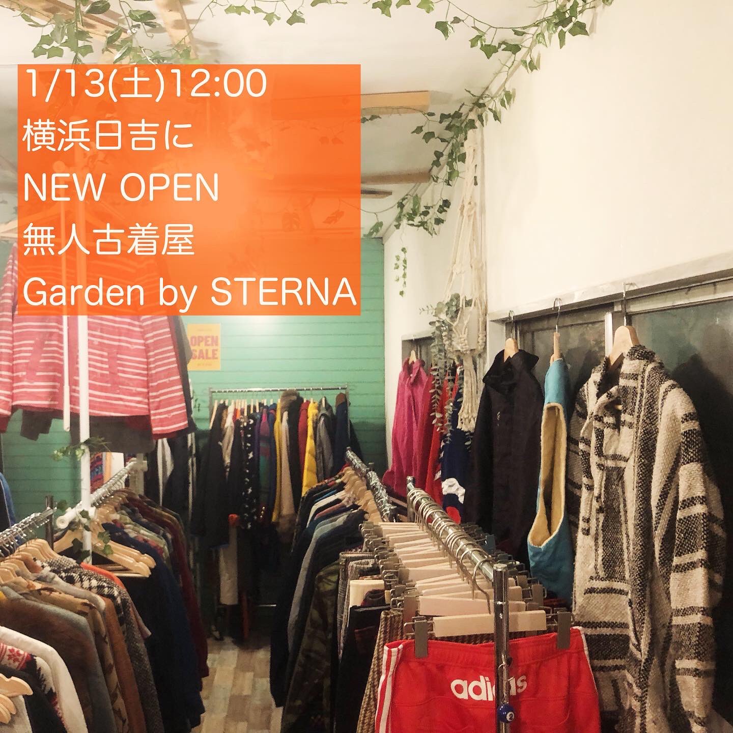 古着・古本 ステルナ on X: 