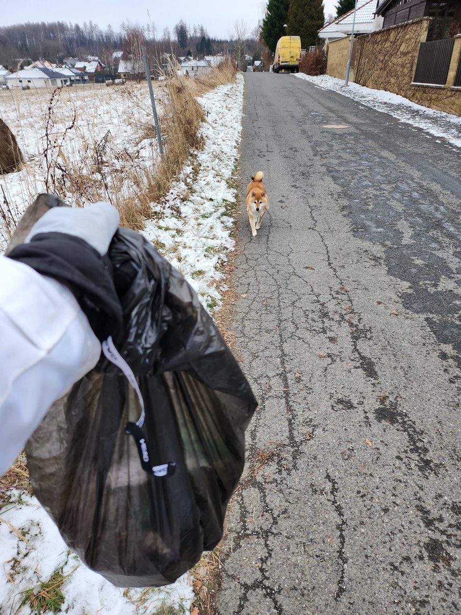 cernaviky's tweet photo. Collecting trash while taking dogs out 🚮💪

#Eco #ecology #gogreen #recycle #recycling #CollectingTogether #trash  #viral #Tweet #TwitterX https://t.co/gPn2ynspVB