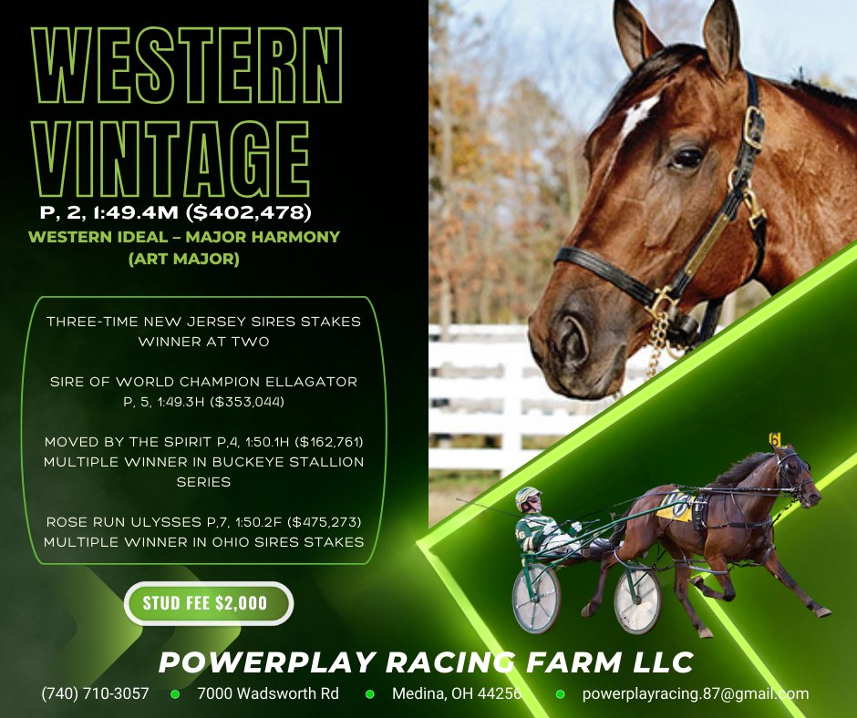 StandingSires's tweet photo. Featured today is 𝙒𝙚𝙨𝙩𝙚𝙧𝙣 𝙑𝙞𝙣𝙩𝙖𝙜𝙚 p,2,1:49.4 ($402,478). Western Vintage out of WESTERN IDEAL &amp; MAJOR HARMONY (Art Major) is standing at the Ohio State ATI Equine Center for the 2024 breeding season. His 2024 stud fee is set at $2,000. https://t.co/sVCLRMQJsu