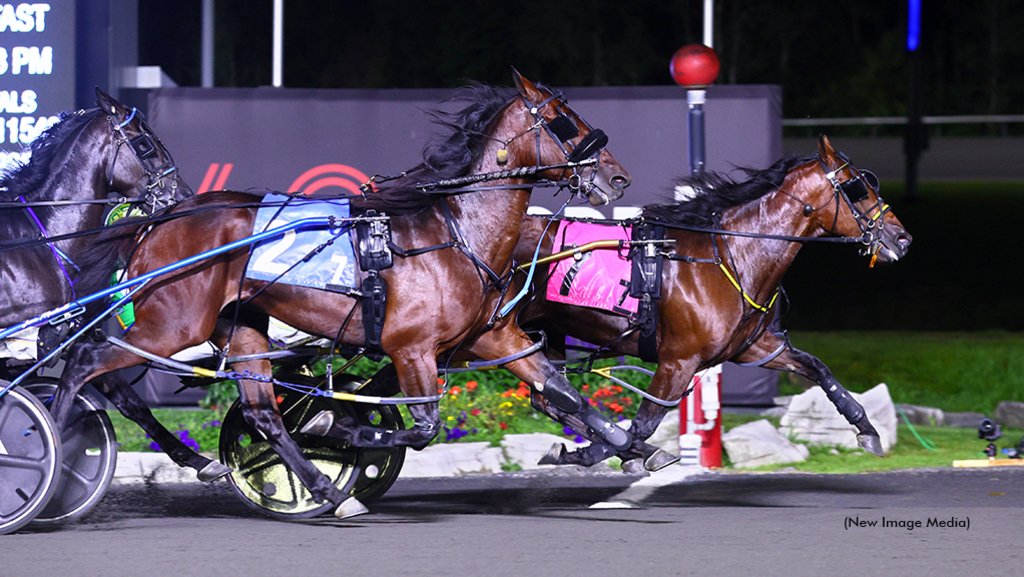 On Thursday, Jan. 11, Woodbine Entertainment announced that the 2024 Metro Pace would sport a guaranteed $1 million purse, one of three million-dollar events slated for the Campbellville oval this season → bit.ly/3vqccCv #harnessracing