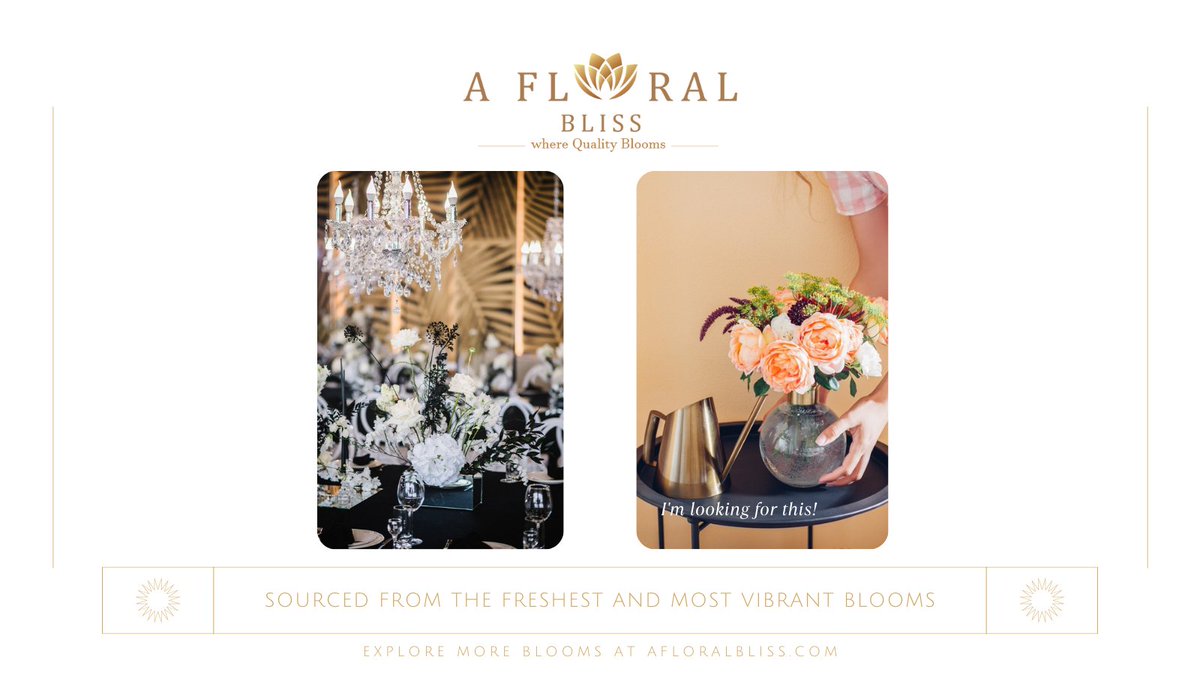 Elevate your special moments with A Floral Bliss! Our dedicated team ensures every arrangement is a masterpiece, sourced from the freshest and most vibrant blooms.

Order online for a 30% discount on your first purchase! 🛍️🌺 #FloralMasterpiece #FreshBlooms #AFloralBlissDiscount