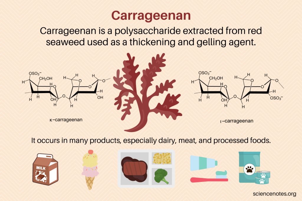 OneFallenAngelM's tweet image. #AvoidIt #Carrageenan is an additive used to thicken, emulsify, and preserve foods and drinks. It’s a natural ingredient that comes from red seaweed (also called Irish moss). You’ll often find this ingredient in nut milks, meat products, and yogurt healthline.com/health/food-nu… 🤓🎈