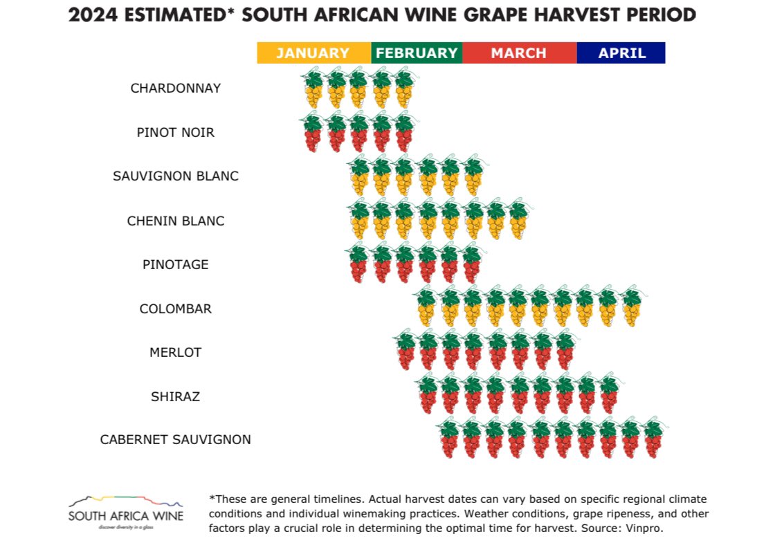 SA Brandy tweet media