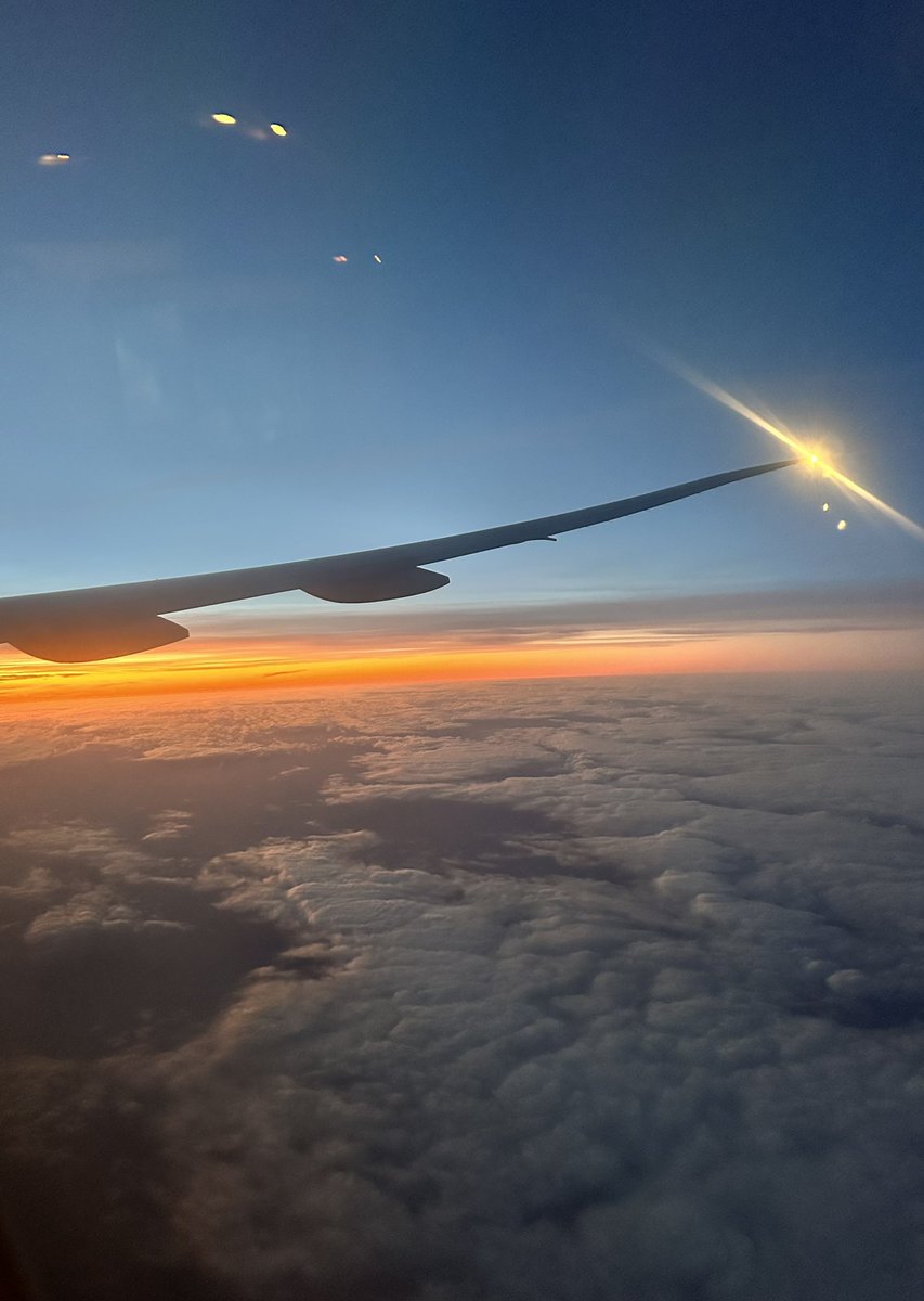 Yeonsoo Sara Lee, MD tweet media