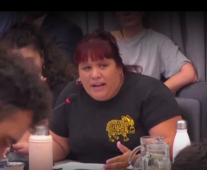 La diputada Zaracho dice por radio: "El 24 tenemos que explotar las calles" 

Tu trabajo no es hacer piquetes, era leer las 400 páginas del DNU.