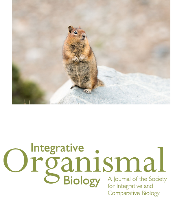 iobjournal's tweet photo. So thrilled to see IOB co author Chris Law on this @Ologies episode!
Don't miss
Size And Locomotor #Ecology Have Differing Effects on the External & Internal #Morphologies of #Squirrel Limb Bones
by Rickman, @SESantanaM , @Chris_J_Law et al
https://t.co/cF3gKD6geA
#science https://t.co/EdoZsX6Vnq