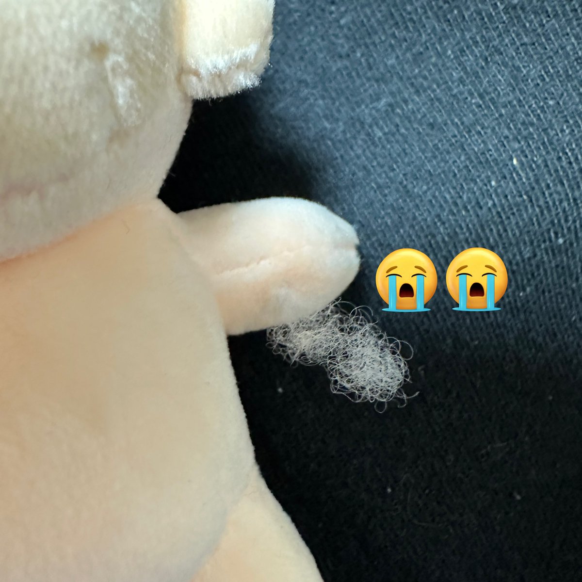 𝗗𝗢𝗠𝗘𝗡𝗧 tweet media