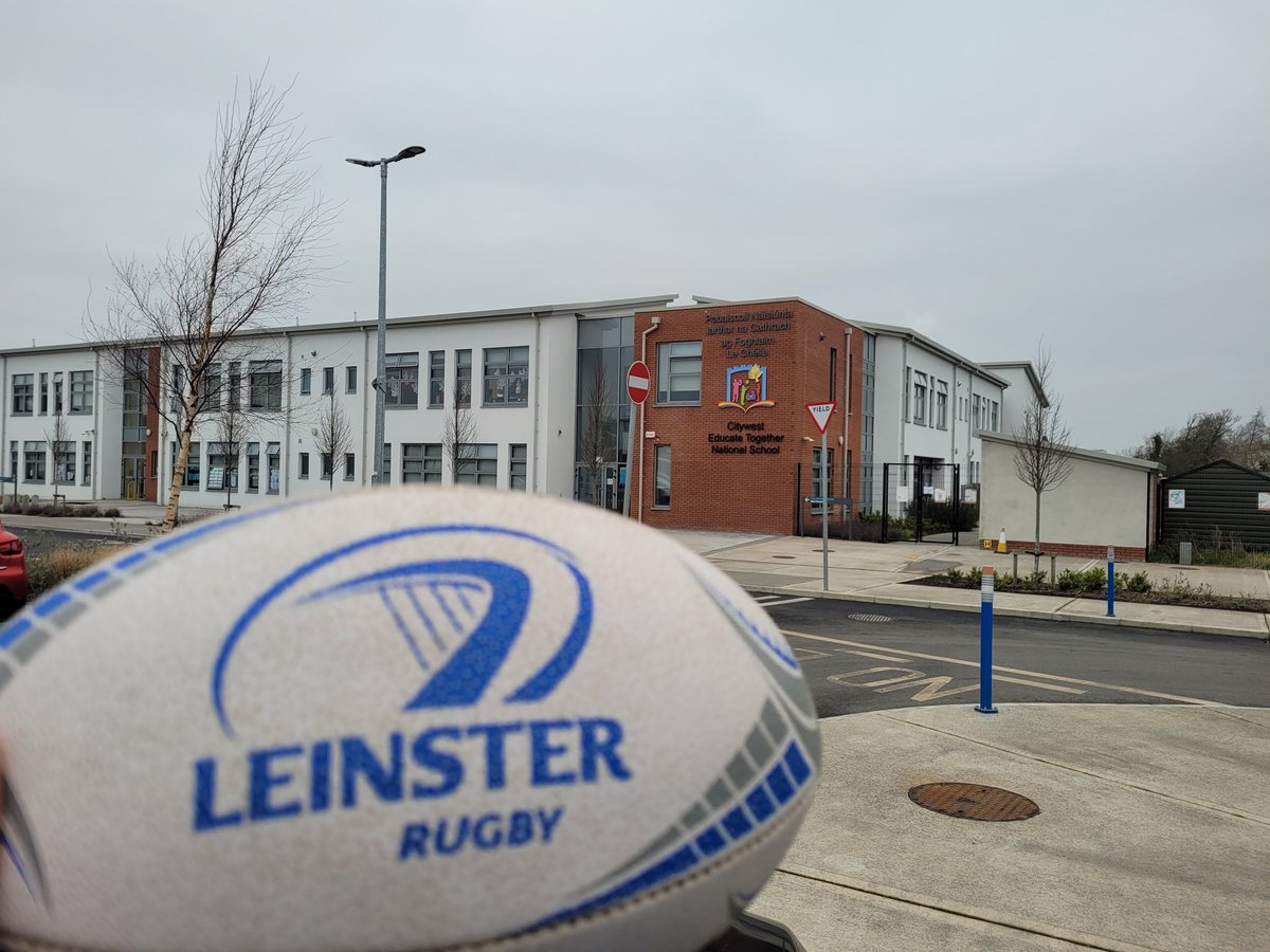 Darren madden tweet media