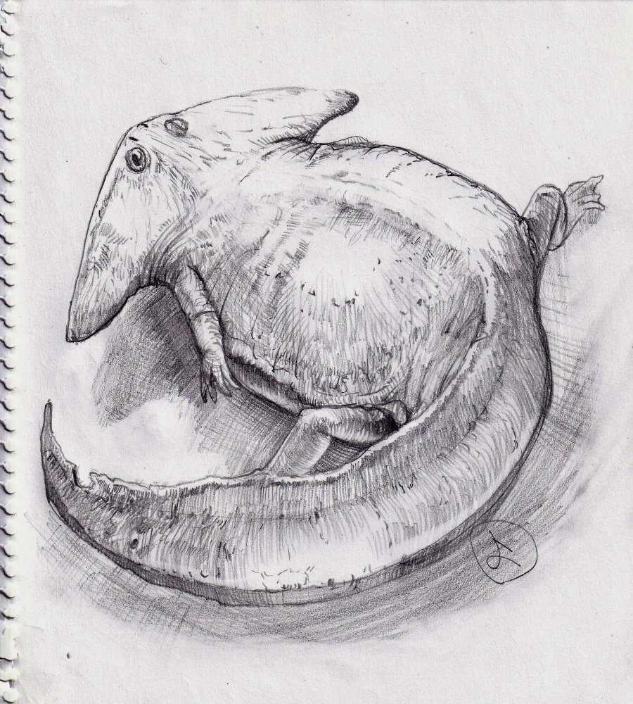 古代の両生類っていいよね。 #お絵描き #古代生物