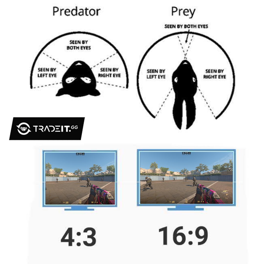 tradeit_gg's tweet photo. Which resolution are you using for CS2? https://t.co/YFxJou5mYl