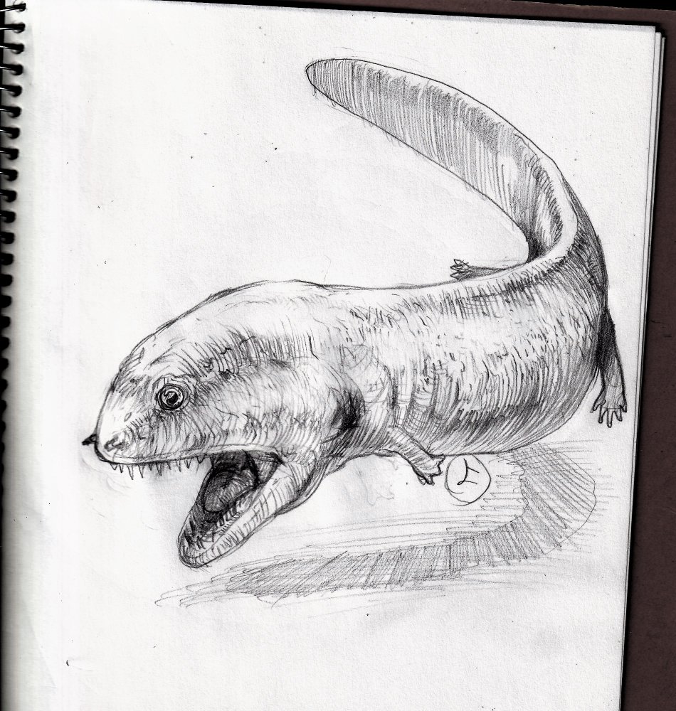 古代の両生類っていいよね。 #お絵描き #古代生物