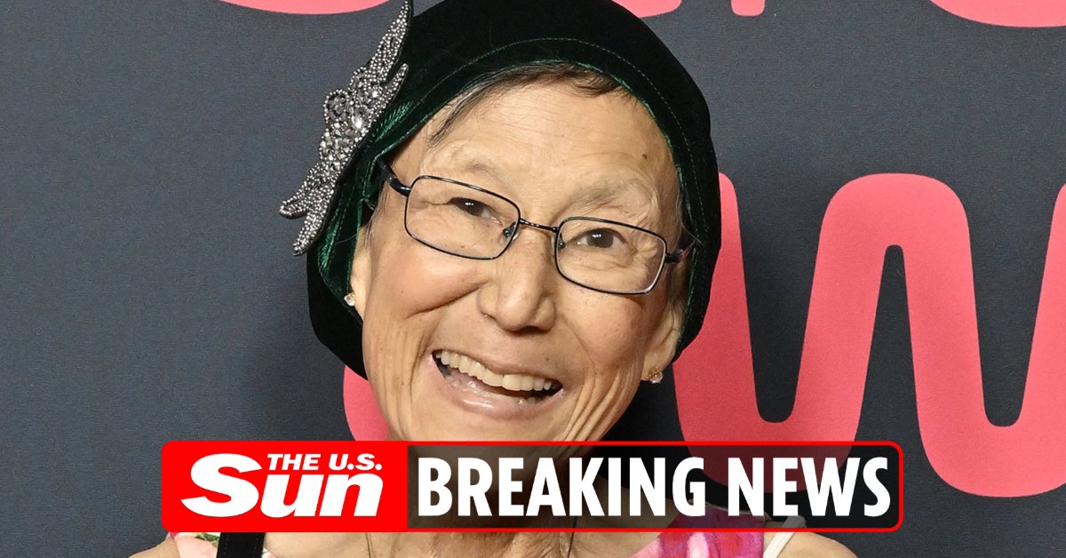 TheSunUS's tweet photo. #BREAKING: #CookingwithLynja TikTok star Lynn Yamada Davis with 17million followers dies age 67 after cancer battle https://t.co/CWux6erqAr https://t.co/iQi3XWYDC6
