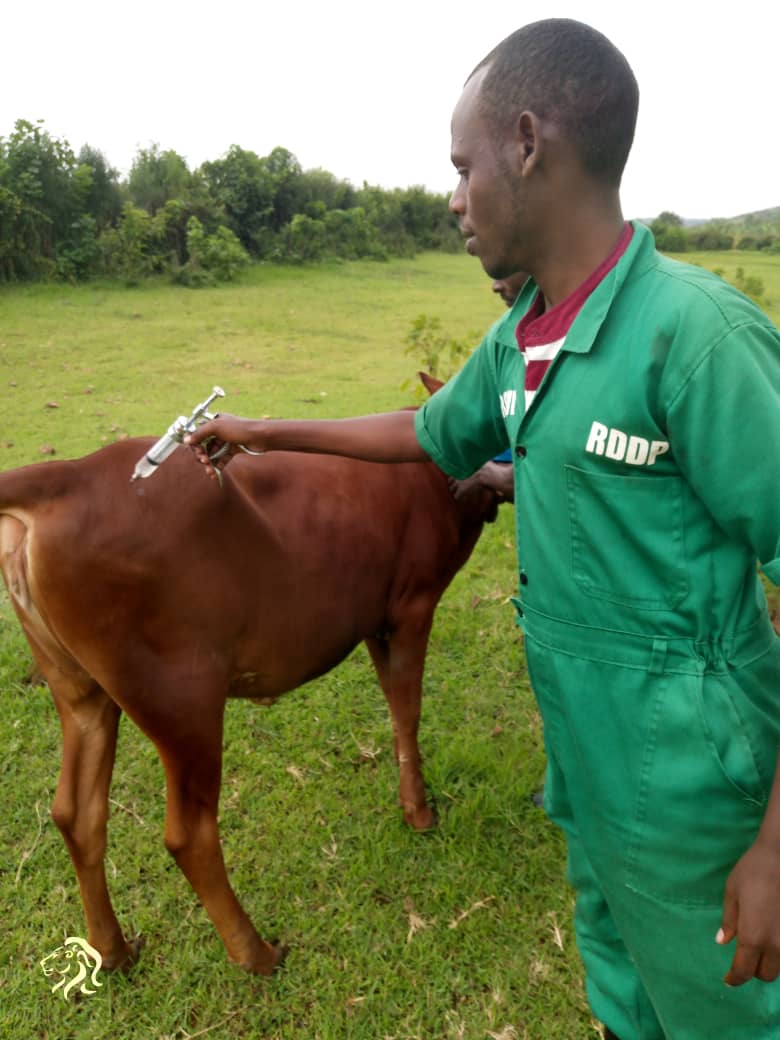 MUSHERI SECTOR tweet media